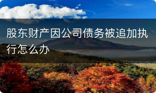 股东财产因公司债务被追加执行怎么办