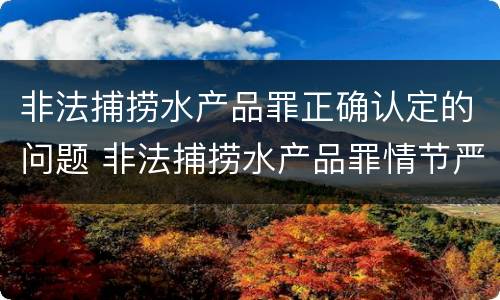 非法捕捞水产品罪正确认定的问题 非法捕捞水产品罪情节严重的认定