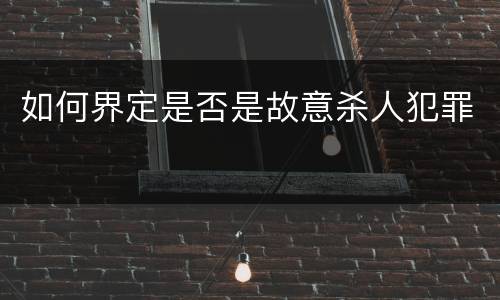 如何界定是否是故意杀人犯罪