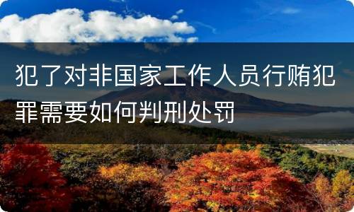 犯了对非国家工作人员行贿犯罪需要如何判刑处罚
