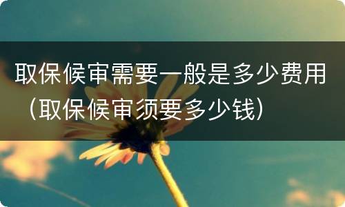 取保候审需要一般是多少费用（取保候审须要多少钱）