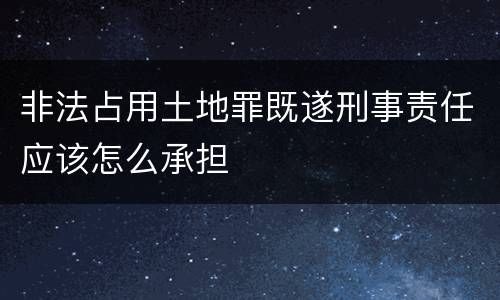 非法占用土地罪既遂刑事责任应该怎么承担