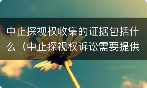 中止探视权收集的证据包括什么（中止探视权诉讼需要提供证据吗）