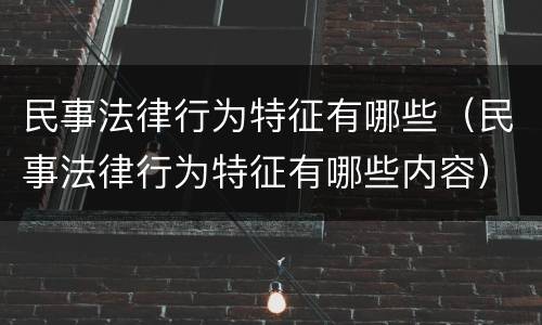 民事法律行为特征有哪些（民事法律行为特征有哪些内容）