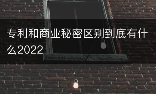 专利和商业秘密区别到底有什么2022