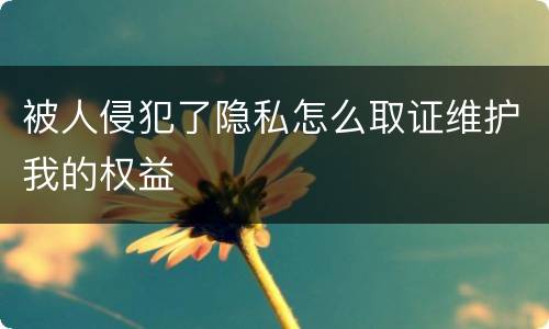 被人侵犯了隐私怎么取证维护我的权益