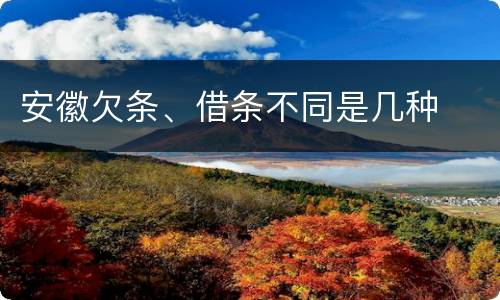 安徽欠条、借条不同是几种