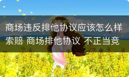 商场违反排他协议应该怎么样索赔 商场排他协议 不正当竞争
