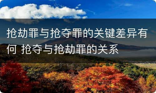 抢劫罪与抢夺罪的关键差异有何 抢夺与抢劫罪的关系
