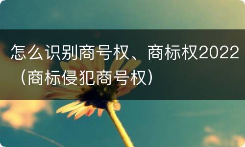 怎么识别商号权、商标权2022（商标侵犯商号权）