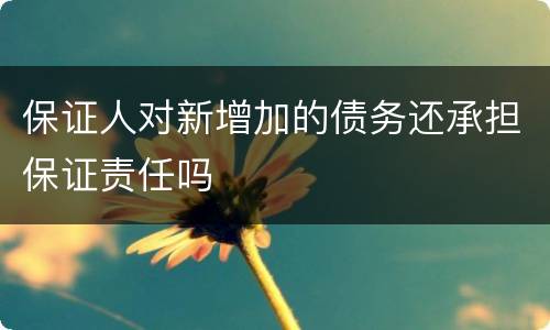 保证人对新增加的债务还承担保证责任吗