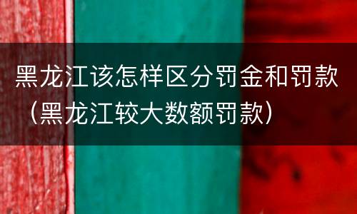 黑龙江该怎样区分罚金和罚款（黑龙江较大数额罚款）