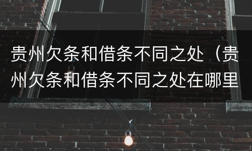 贵州欠条和借条不同之处（贵州欠条和借条不同之处在哪里）