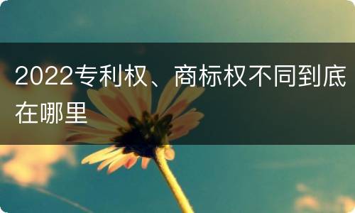 2022专利权、商标权不同到底在哪里