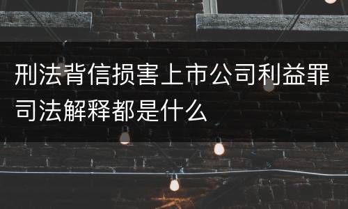 刑法背信损害上市公司利益罪司法解释都是什么