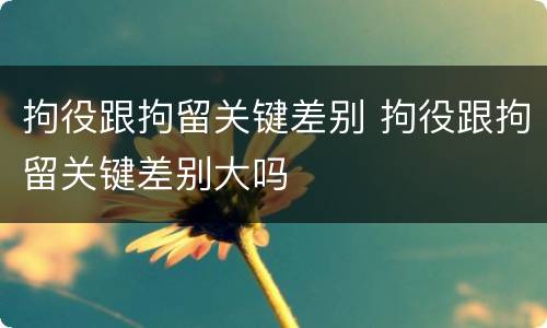 拘役跟拘留关键差别 拘役跟拘留关键差别大吗