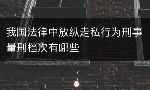 我国法律中放纵走私行为刑事量刑档次有哪些