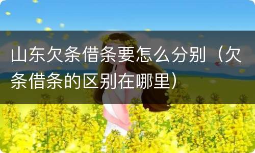 山东欠条借条要怎么分别（欠条借条的区别在哪里）