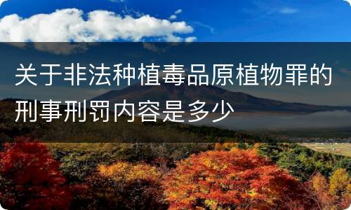 关于非法种植毒品原植物罪的刑事刑罚内容是多少