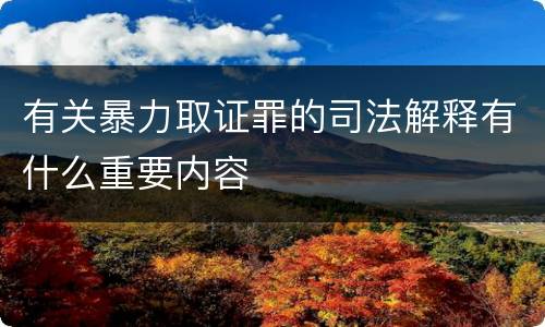 有关暴力取证罪的司法解释有什么重要内容