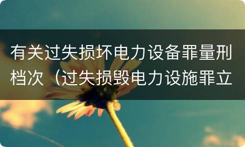 有关过失损坏电力设备罪量刑档次（过失损毁电力设施罪立案标准）