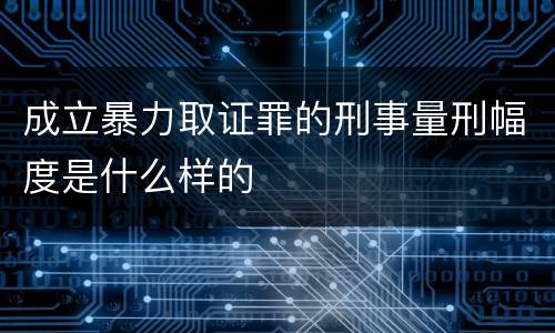 成立暴力取证罪的刑事量刑幅度是什么样的