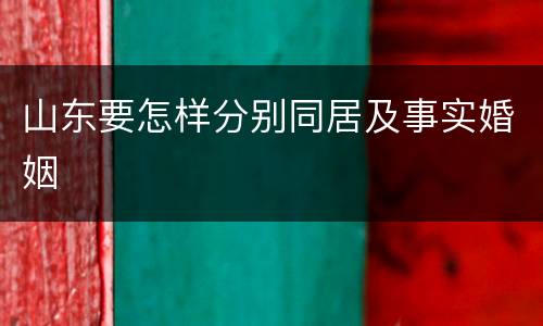山东要怎样分别同居及事实婚姻