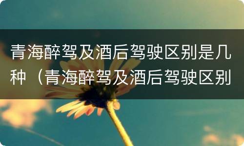 青海醉驾及酒后驾驶区别是几种（青海醉驾及酒后驾驶区别是几种情形）