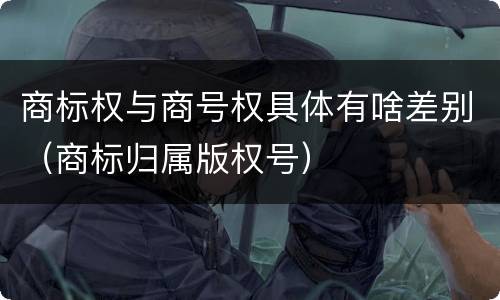 商标权与商号权具体有啥差别（商标归属版权号）