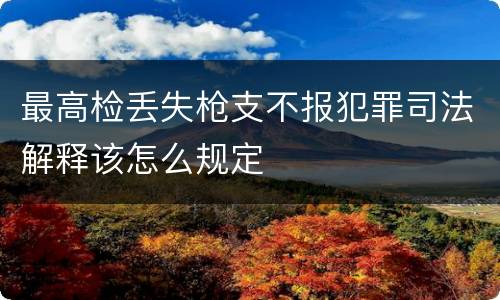 最高检丢失枪支不报犯罪司法解释该怎么规定