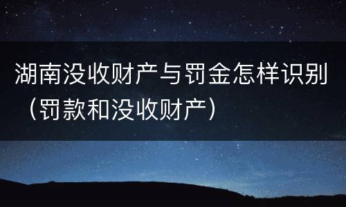 湖南没收财产与罚金怎样识别（罚款和没收财产）