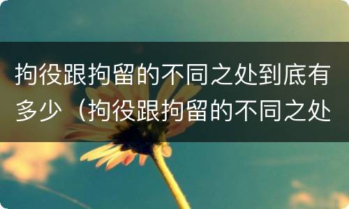 拘役跟拘留的不同之处到底有多少（拘役跟拘留的不同之处到底有多少人）