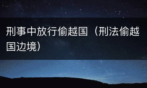 刑事中放行偷越国（刑法偷越国边境）