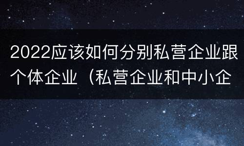 2022应该如何分别私营企业跟个体企业（私营企业和中小企业）