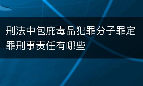 刑法中包庇毒品犯罪分子罪定罪刑事责任有哪些