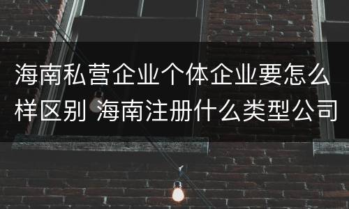 海南私营企业个体企业要怎么样区别 海南注册什么类型公司好