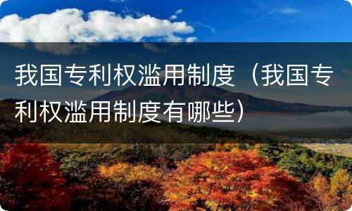 我国专利权滥用制度（我国专利权滥用制度有哪些）