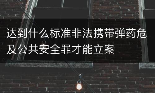 达到什么标准非法携带弹药危及公共安全罪才能立案