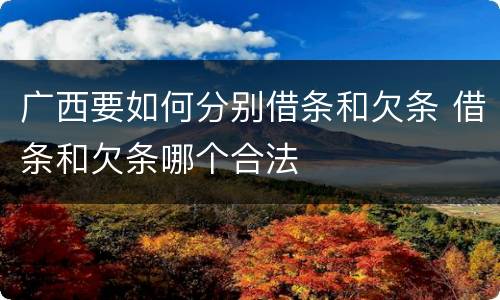 广西要如何分别借条和欠条 借条和欠条哪个合法