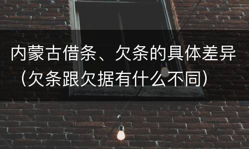 内蒙古借条、欠条的具体差异（欠条跟欠据有什么不同）