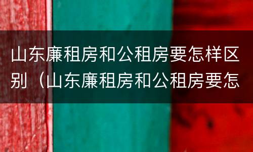 山东廉租房和公租房要怎样区别（山东廉租房和公租房要怎样区别呢）