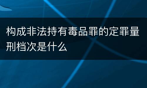 构成非法持有毒品罪的定罪量刑档次是什么