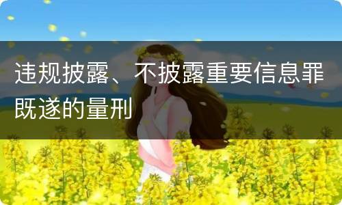 违规披露、不披露重要信息罪既遂的量刑