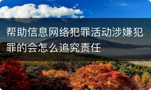 帮助信息网络犯罪活动涉嫌犯罪的会怎么追究责任