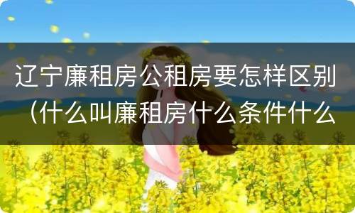 辽宁廉租房公租房要怎样区别（什么叫廉租房什么条件什么叫公租房）
