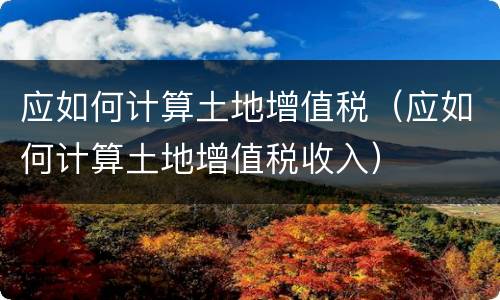 应如何计算土地增值税（应如何计算土地增值税收入）