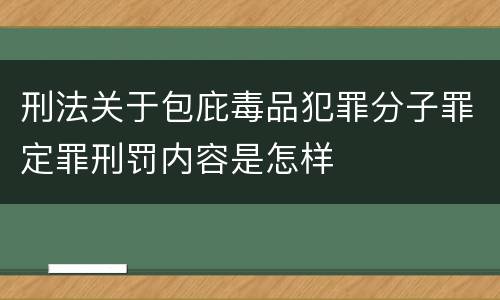 刑法关于包庇毒品犯罪分子罪定罪刑罚内容是怎样