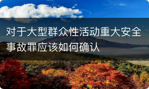 对于大型群众性活动重大安全事故罪应该如何确认