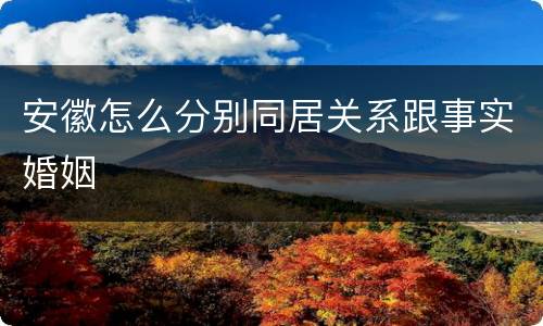 安徽怎么分别同居关系跟事实婚姻