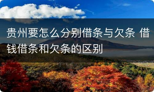 贵州要怎么分别借条与欠条 借钱借条和欠条的区别